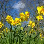 Sustain Newsletter – March 2026